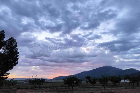 Landejendom i Yecla, Murcia, Yecla - € 219.000 | Ref: SF0531 - foto 29